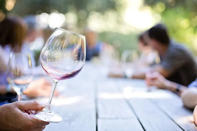 Les Meilleurs Verres pour Déguster les Liqueurs avec Élégance