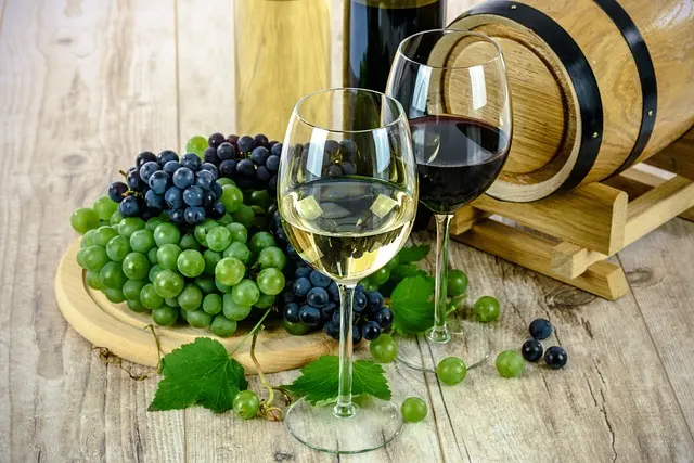 Les Secrets de la Dégustation des Liqueurs Artisanales