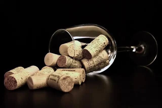 Comment Organiser une Dégustation de Liqueurs Réussie