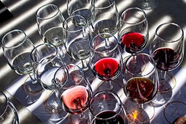 Comment Organiser une Dégustation de Liqueurs Réussie