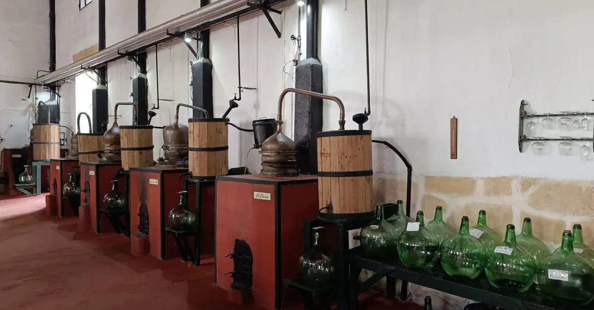 Liqueurs Artisanales : Un Voyage Gustatif Unique