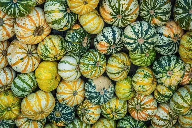 Les Liqueurs Étonnantes à Déguster : Voyage Sensoriel