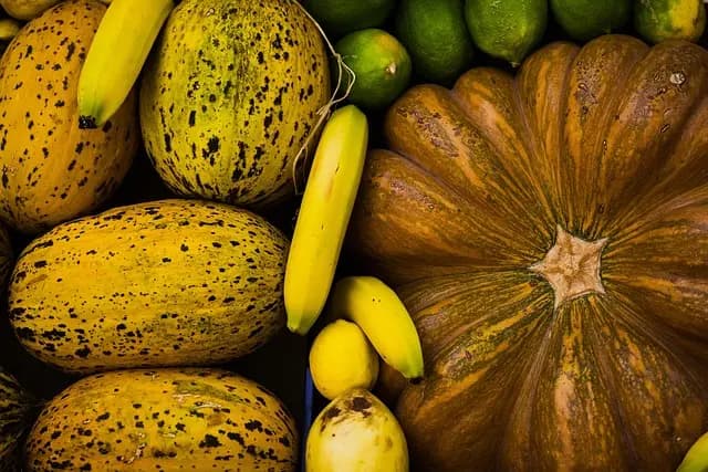 Accords Parfaits : Dégustation de Liqueurs et Fruits à Déguster Ensemble