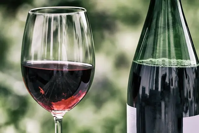 Les Meilleures Liqueurs Artisanales à Déguster Absolument