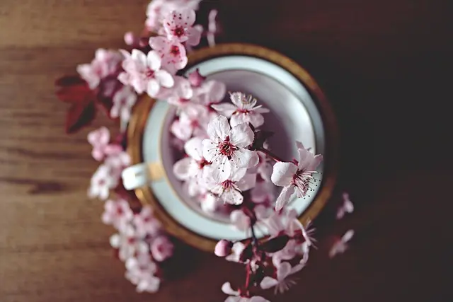 Les Accords Parfaits entre Liqueurs et Chocolat : Guide Complet
