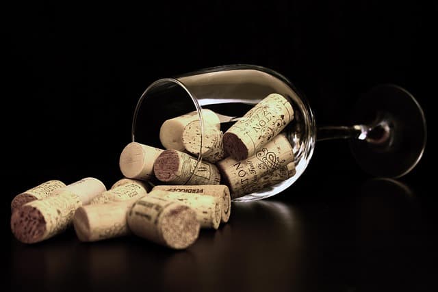 Les Meilleurs Outils pour Déguster les Liqueurs comme un Pro