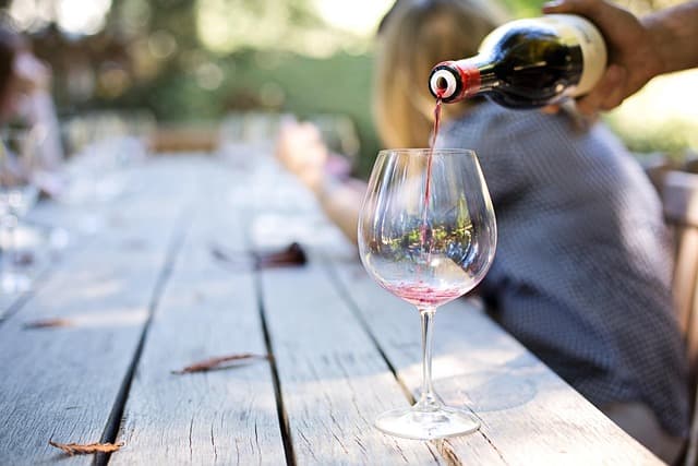 Les Nouvelles Liqueurs Artisanales à Découvrir