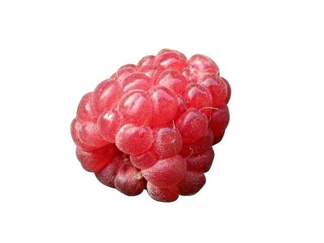 Les Accords Parfaits : Liqueurs et Fruits à Déguster Ensemble