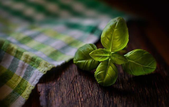 Comment Identifier les Arômes dans les Liqueurs : Guide Complet